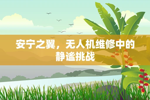 安宁之翼，无人机维修中的静谧挑战