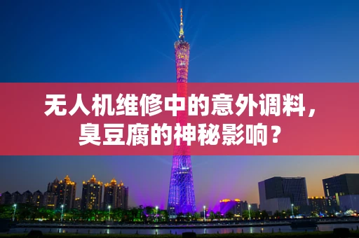 无人机维修中的意外调料，臭豆腐的神秘影响？