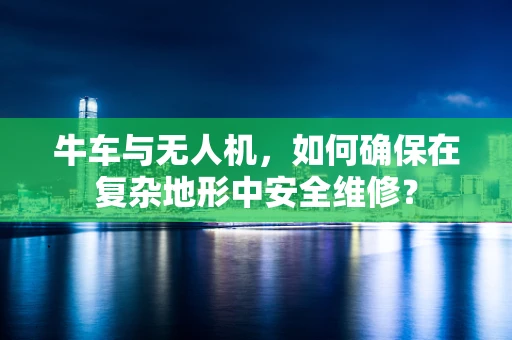 牛车与无人机，如何确保在复杂地形中安全维修？
