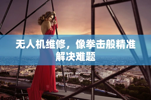 无人机维修，像拳击般精准解决难题