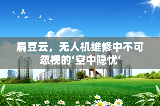 扁豆云，无人机维修中不可忽视的‘空中隐忧’