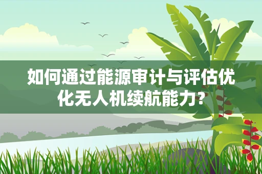 如何通过能源审计与评估优化无人机续航能力？
