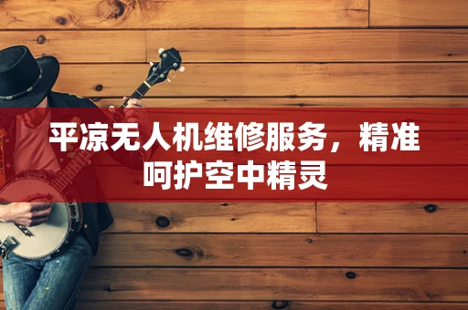 平凉无人机维修服务，精准呵护空中精灵
