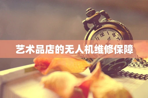 艺术品店的无人机维修保障