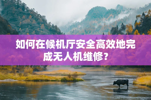 如何在候机厅安全高效地完成无人机维修？