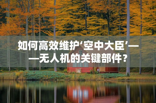 如何高效维护‘空中大臣’——无人机的关键部件？