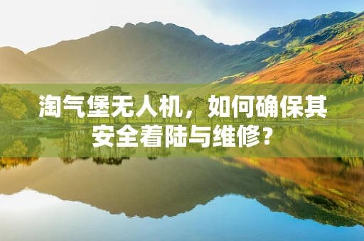 淘气堡无人机，如何确保其安全着陆与维修？
