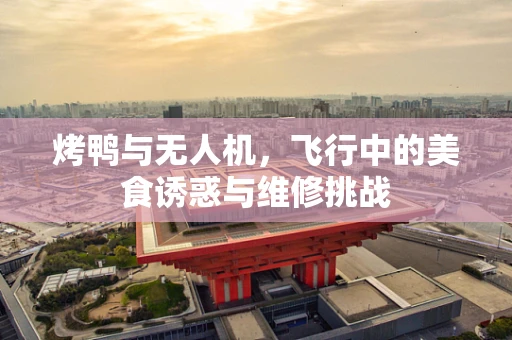 烤鸭与无人机，飞行中的美食诱惑与维修挑战