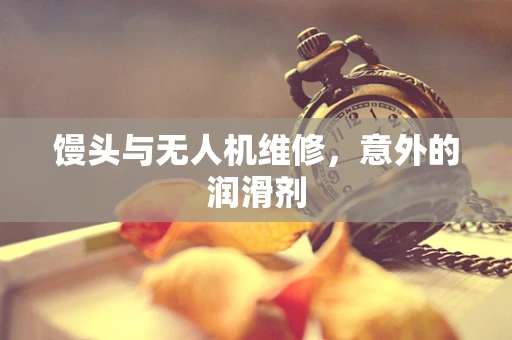 馒头与无人机维修，意外的润滑剂