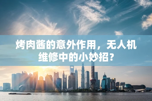 烤肉酱的意外作用，无人机维修中的小妙招？