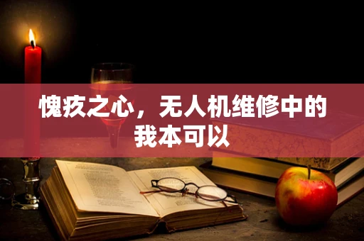 愧疚之心，无人机维修中的我本可以