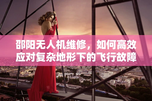 邵阳无人机维修，如何高效应对复杂地形下的飞行故障？