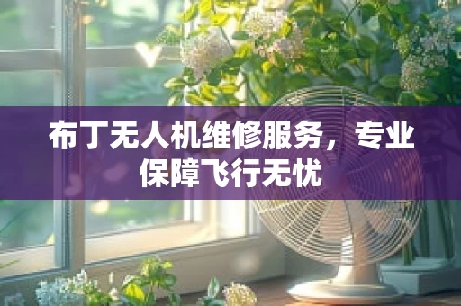 布丁无人机维修服务，专业保障飞行无忧