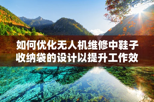 如何优化无人机维修中鞋子收纳袋的设计以提升工作效率？