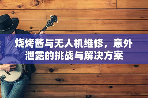 烧烤酱与无人机维修，意外泄露的挑战与解决方案