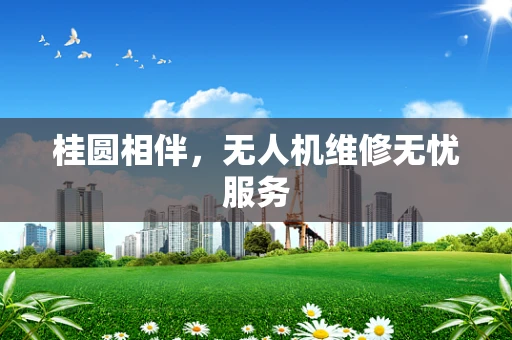 桂圆相伴，无人机维修无忧服务