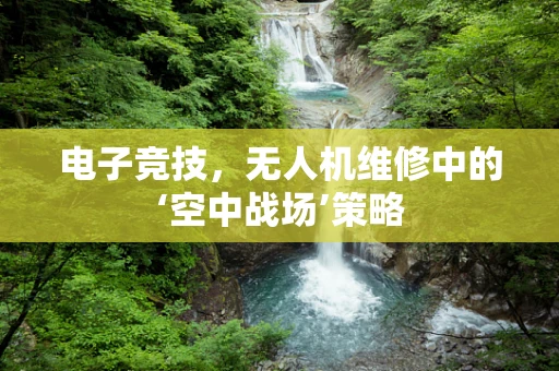 电子竞技，无人机维修中的‘空中战场’策略