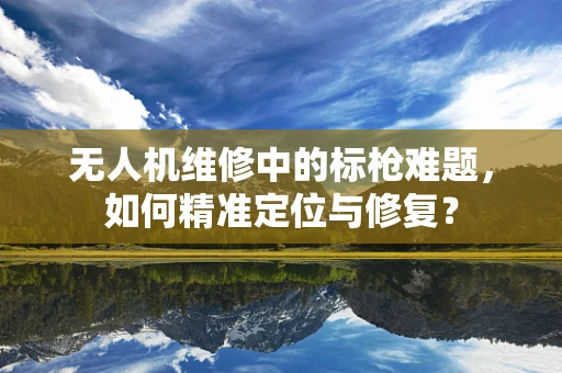无人机维修中的标枪难题，如何精准定位与修复？