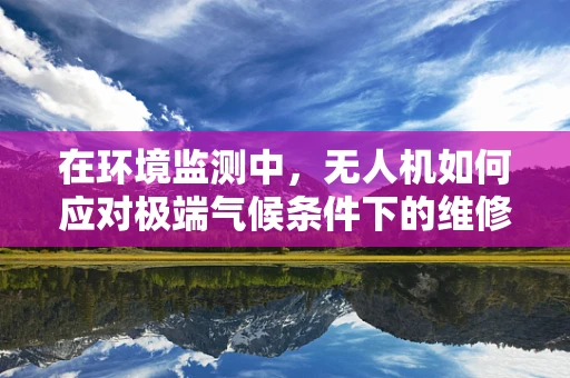 在环境监测中，无人机如何应对极端气候条件下的维修挑战？