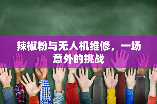 辣椒粉与无人机维修，一场意外的挑战