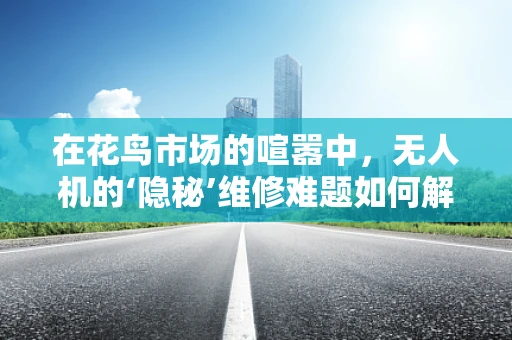 在花鸟市场的喧嚣中，无人机的‘隐秘’维修难题如何解？