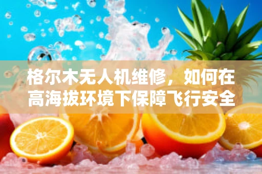 格尔木无人机维修，如何在高海拔环境下保障飞行安全？