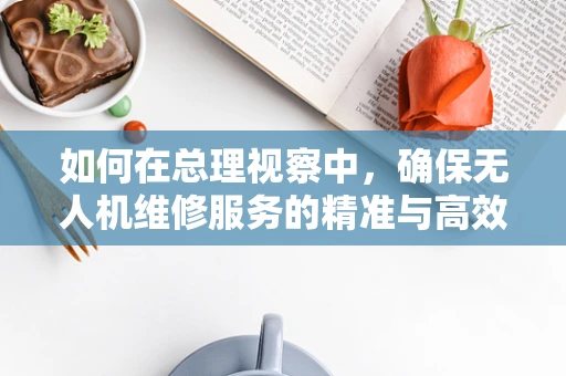 如何在总理视察中，确保无人机维修服务的精准与高效？