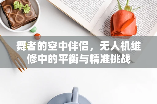 舞者的空中伴侣，无人机维修中的平衡与精准挑战