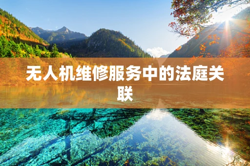 无人机维修服务中的法庭关联