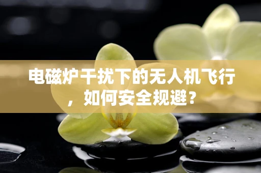 电磁炉干扰下的无人机飞行，如何安全规避？
