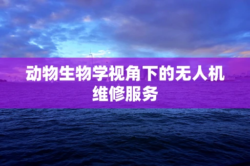 动物生物学视角下的无人机维修服务