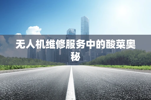 无人机维修服务中的酸菜奥秘