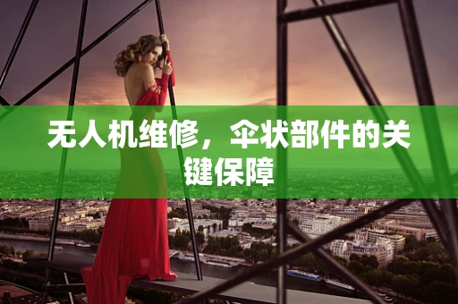 无人机维修，伞状部件的关键保障