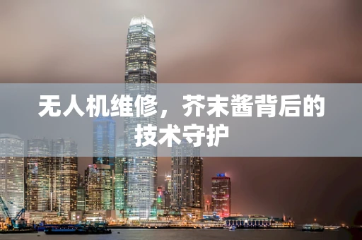 无人机维修，芥末酱背后的技术守护