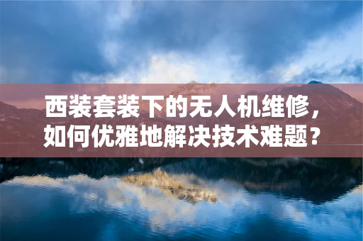 西装套装下的无人机维修，如何优雅地解决技术难题？