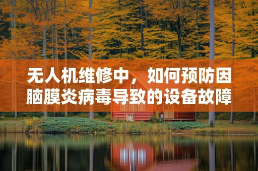 无人机维修中，如何预防因脑膜炎病毒导致的设备故障？