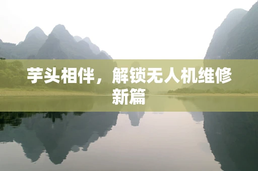 芋头相伴，解锁无人机维修新篇