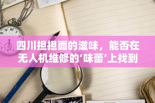 四川担担面的滋味，能否在无人机维修的‘味蕾’上找到？