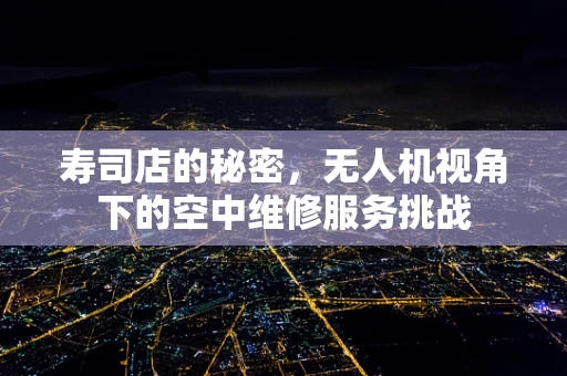 寿司店的秘密，无人机视角下的空中维修服务挑战