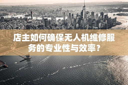 店主如何确保无人机维修服务的专业性与效率？