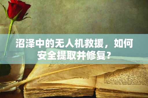 沼泽中的无人机救援，如何安全提取并修复？