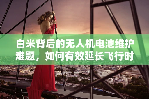 白米背后的无人机电池维护难题，如何有效延长飞行时间？