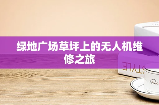 绿地广场草坪上的无人机维修之旅