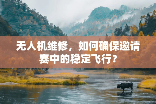 无人机维修，如何确保邀请赛中的稳定飞行？