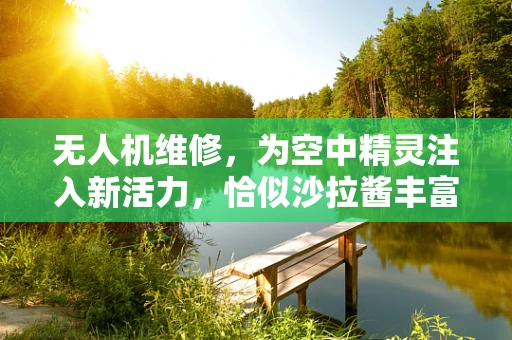 无人机维修，为空中精灵注入新活力，恰似沙拉酱丰富多样
