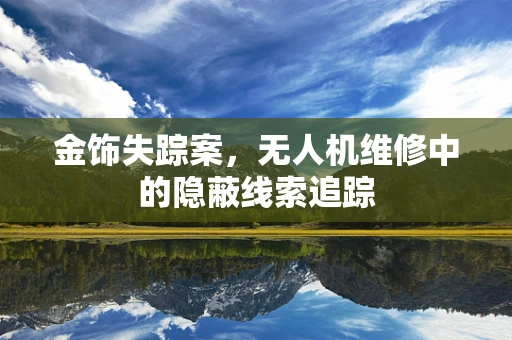 金饰失踪案，无人机维修中的隐蔽线索追踪