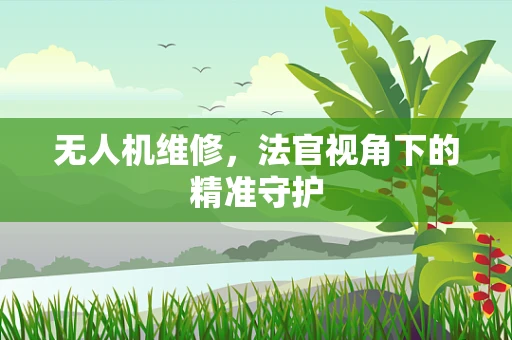 无人机维修，法官视角下的精准守护