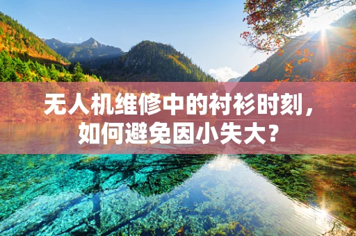 无人机维修中的衬衫时刻，如何避免因小失大？