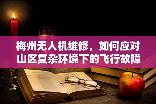 梅州无人机维修，如何应对山区复杂环境下的飞行故障？