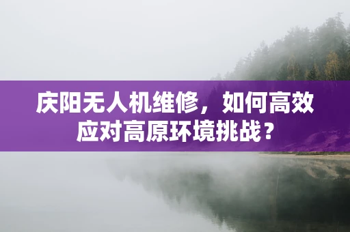 庆阳无人机维修，如何高效应对高原环境挑战？